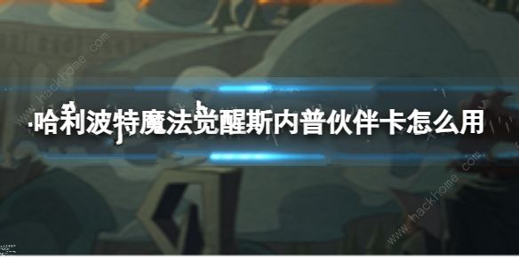 哈利波特魔法觉醒斯内普伙伴卡是真的假的 斯内普伙伴卡技能使用攻略