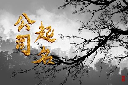 24龙年最旺的网络科技公司名字