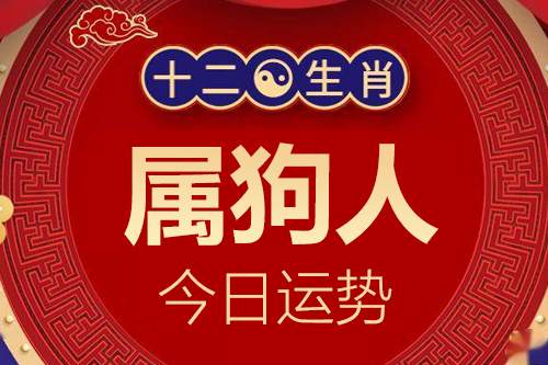 属狗的人2024年6月4日各方面运程指数一览