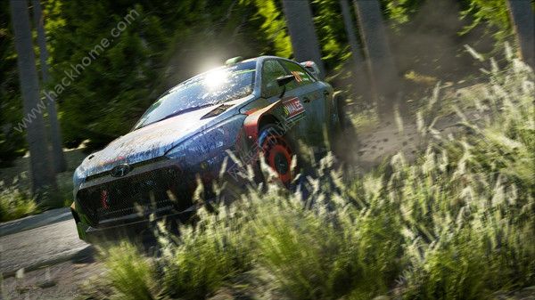 世界汽车拉力锦标赛7汉化中文安卓版（WRC 7） v1.0