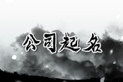 24龙年最火的网络公司名字