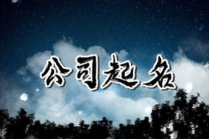 龙年吉利又聚财的贸易公司名字