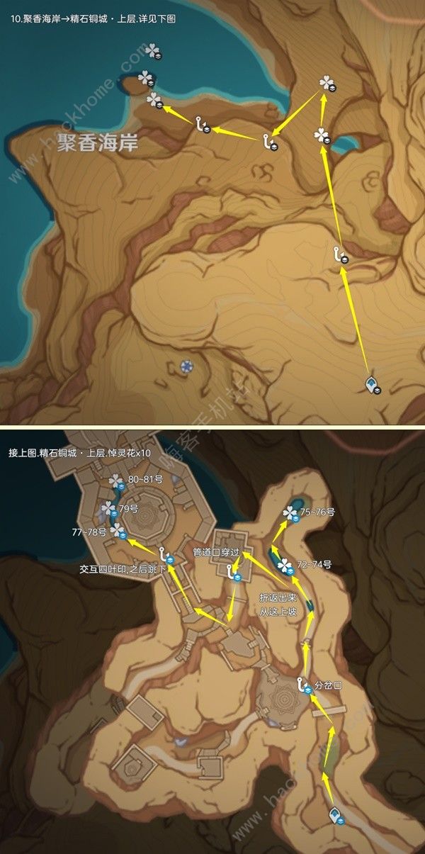 原神4.5悼灵花哪里多 4.5悼灵花采集路线图示一览图片5