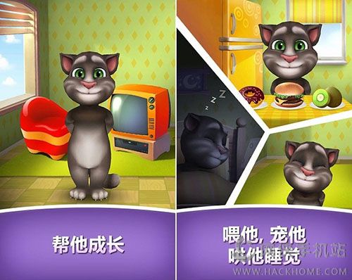 我的汤姆猫喂养版2016评测：我和安吉拉的新年约定图片1