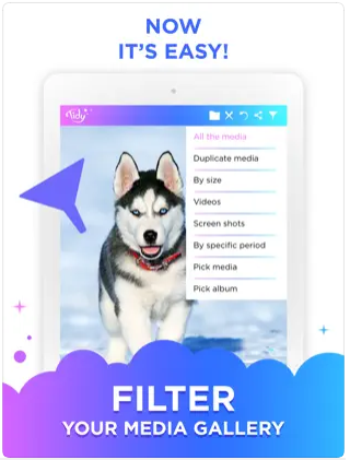 Tidy图库app手机版软件下载 v1.31