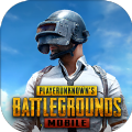 PUBG MOBILE 2.1.0最新版手游下载 v3.3.0