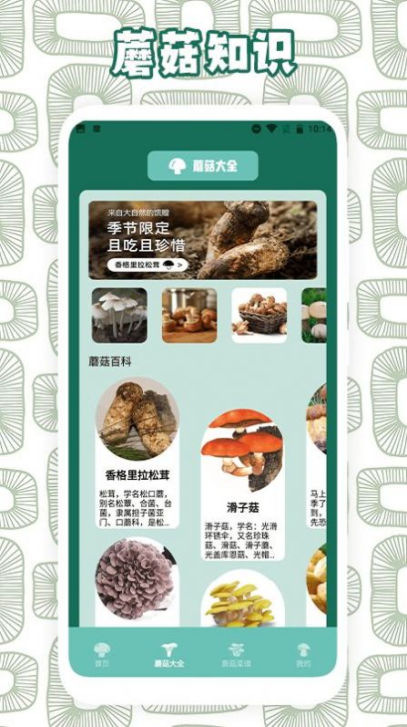 蘑菇识别助手软件免费版下载 v1.1