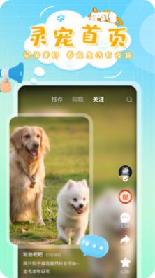 灵宠大陆宠物社交app官方下载 v1.0