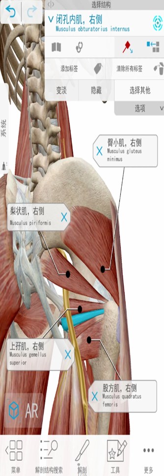 3D人体解剖app软件官方版图片1