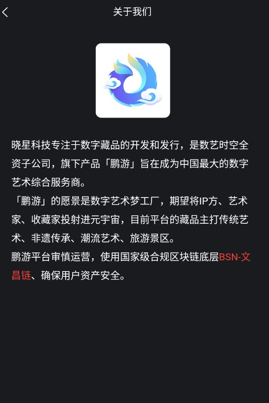 鹏游数字藏品app官方下载 v1.0