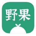 野果阅读苹果ios版app下载 v1.0.2