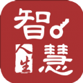 智慧人生app官方下载 v1.0