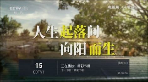 飞梭TV电视版最新版下载软件app v0.1.1