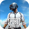 pubg mobile国际服体验服下载安卓版 v3.6.0