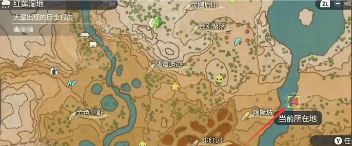 宝可梦传说阿尔宙斯波克基古怎么抓