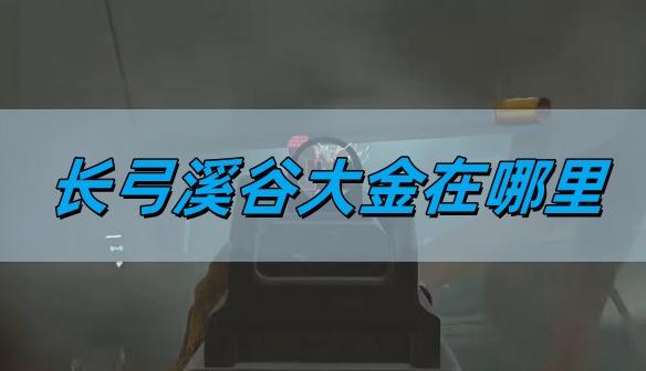 三角洲行动长弓溪谷大金在哪里-长弓溪谷大金位置详情