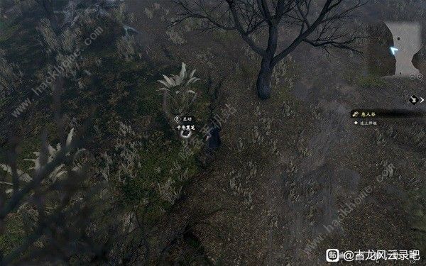 古龙风云录序章支线收集攻略 序章支线全收集位置一览图片6