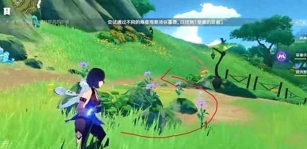 原神观察须弥蔷薇寻找隐藏的歌曲怎么做