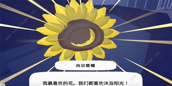 小猫咪大城市向日葵帽在哪 向日葵帽收集位置攻略