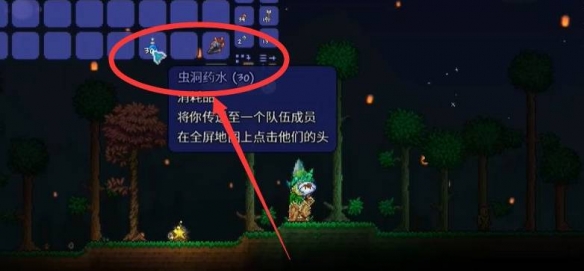泰拉瑞亚虫洞药水怎么用