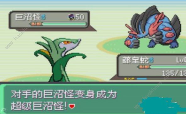 口袋妖怪究极绿宝石5.4攻略大全 5.4版本全周目通关总汇图片3