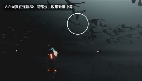 光遇破晓季光翼在哪