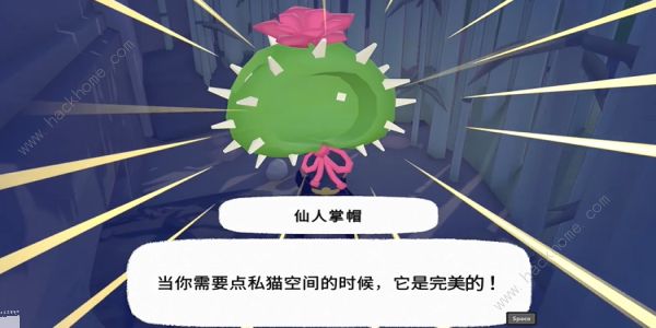 小猫咪大城市仙人掌帽在哪 仙人掌帽收集位置攻略图片6