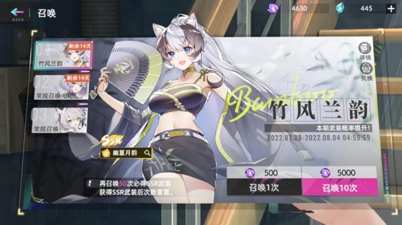 猫之城卡池抽哪个好