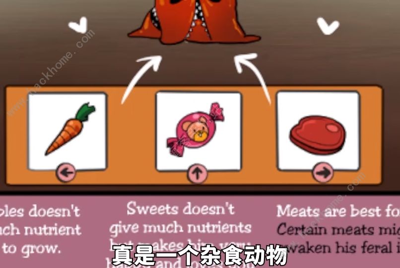 homegrownpet攻略最新大全 2022homegrownpet全结局达成总汇图片1