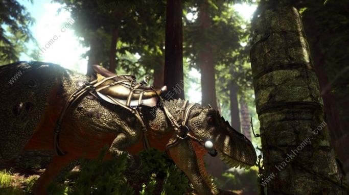 Epic6月11日喜加一：方舟生存进化、侍魂NEOGEO合集免费领图片3