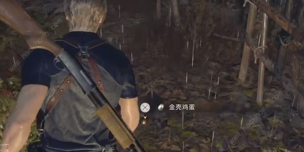 生化危机4重制版寻蛋启事任务怎么做 寻蛋启事任务完成攻略图片4