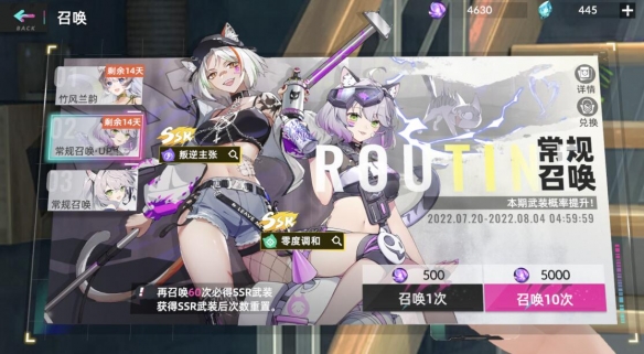 猫之城卡池抽哪个好