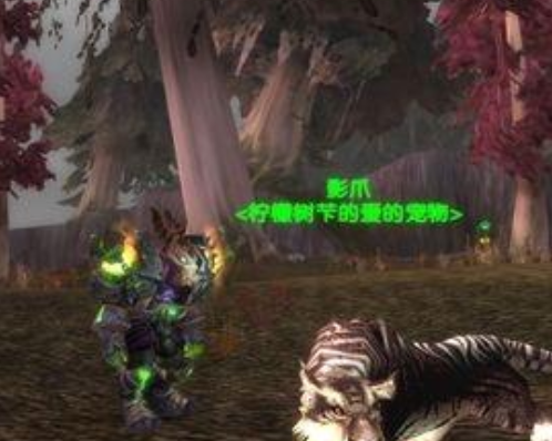 魔兽世界稀有宠物有哪些