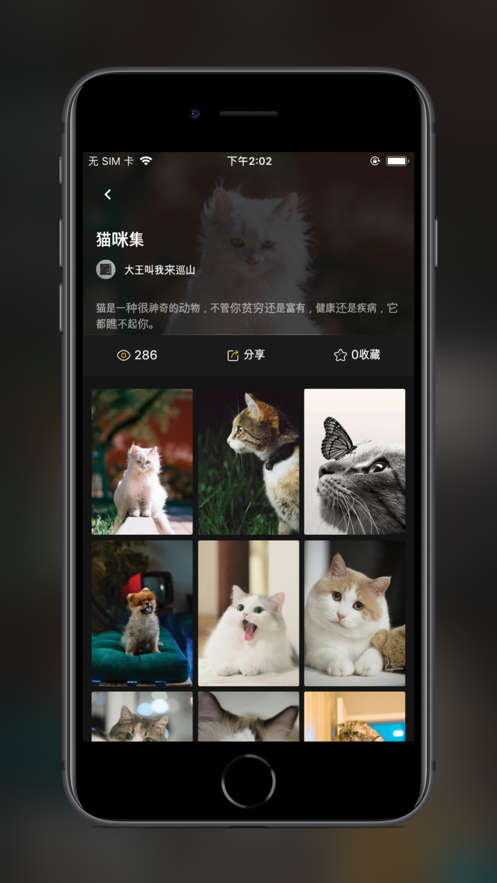 纸塘壁纸app软件官方下载 v1.7.0