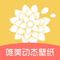 唯美动态壁纸app高清版 v1.0.0