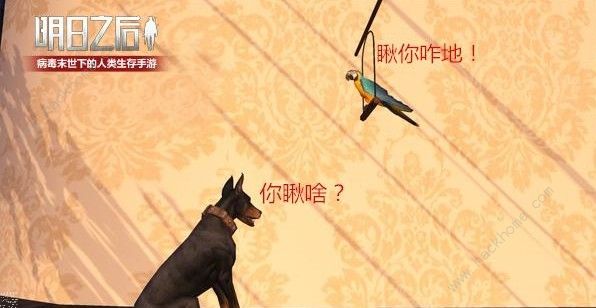 明日之后鹦鹉怎么得 新宠物鹦鹉获取方法图片2