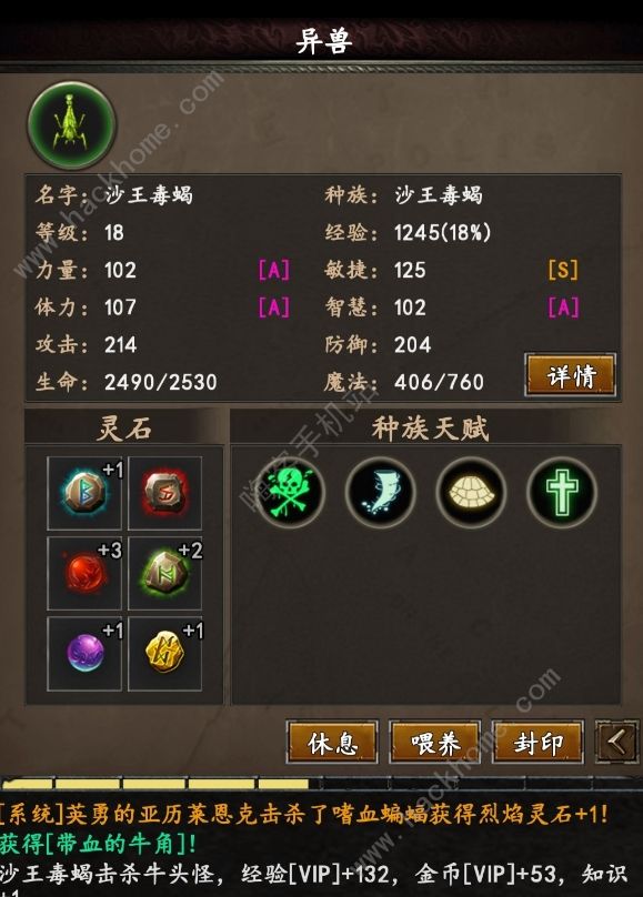安尼卡暗黑世界无尽轮回攻略大全 新手少走弯路技巧总汇图片2