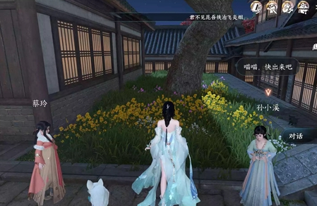 逆水寒手游抢猫奇遇怎么做