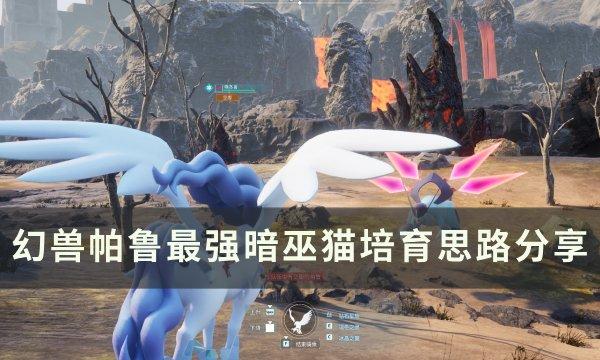 幻兽帕鲁最强暗巫猫怎么培育-最强暗巫猫培育思路分享​