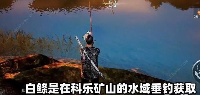 黎明觉醒油炸白鲦鱼怎么做 油炸白鲦鱼制作攻略图片3