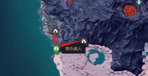 幻兽帕鲁黑市商人在哪里​