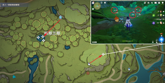 原神月莲在哪里采集
