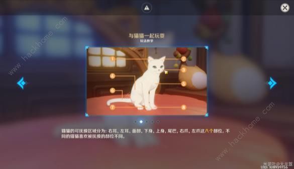 原神茸茸城堡大喵险推倒雪糕攻略 怎么布置软绵绵喵屋图片2