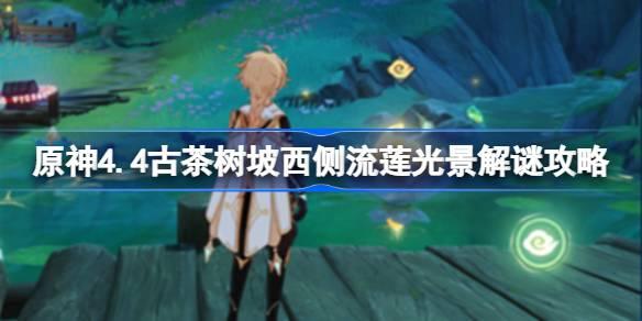 原神4.4古茶树坡西侧流莲光景怎么解谜 原神4.4古茶树坡西侧流莲光景解谜攻略​
