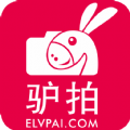 驴拍网下载官方app v1.0