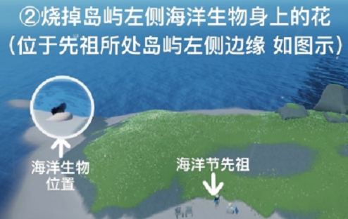 光遇清理圣岛被污染的漩涡任务怎么做
