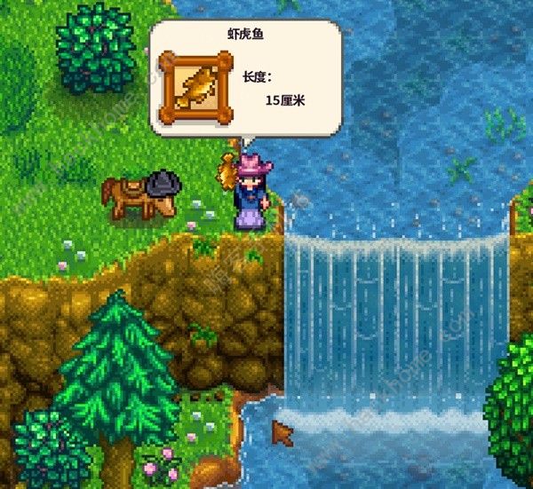 星露谷物语1.6新增物品大全 1.6版本新增哪些道具图片8