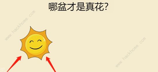 全民烧脑新版攻略大全 最新版本关卡通关答案总汇图片6