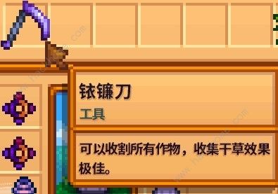星露谷物语1.6新增物品大全 1.6版本新增哪些道具图片2