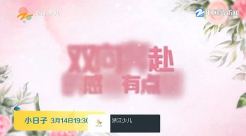 随风电视TV版免费下载图片1